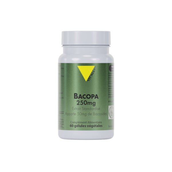 BACOPA MONNIERI 250mg Extrait Standardisé VIT'ALL+