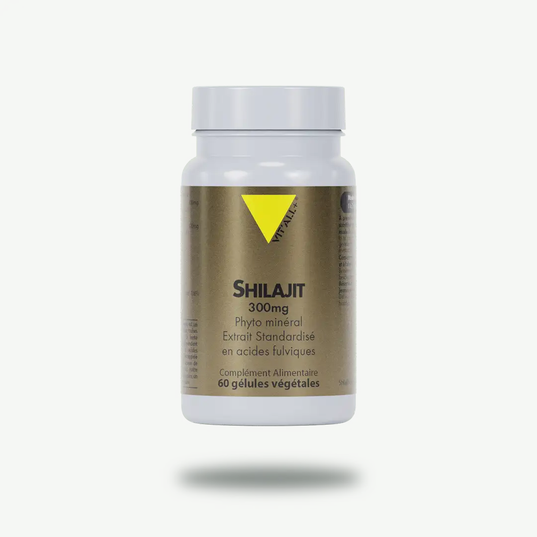 SHILAJIT Extrait Standardisé VIT'ALL+